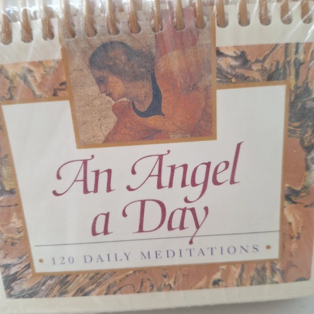 An Angel a Day: A Book of Mediations & 120 Daily Spiral Bound Add-On Guide NEW